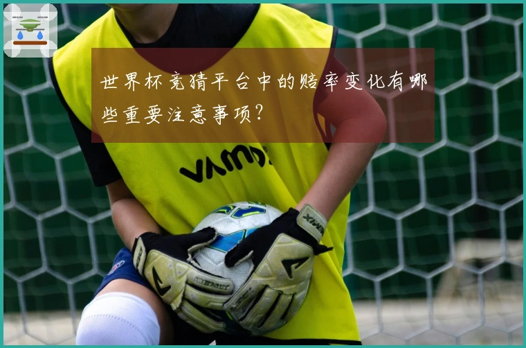 世界杯竞猜平台中的赔率变化有哪些重要注意事项？