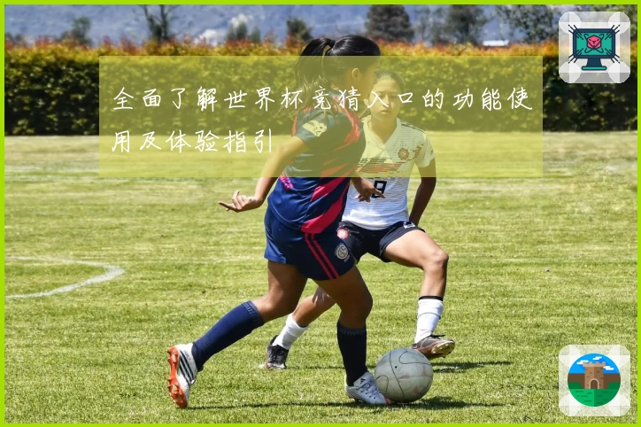 全面了解世界杯竞猜入口的功能使用及体验指引