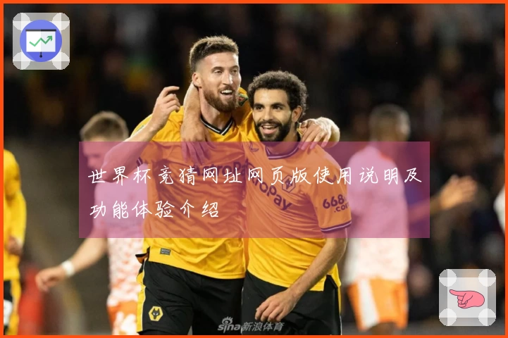 世界杯竞猜网址网页版使用说明及功能体验介绍