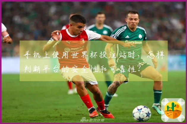手机上使用世界杯投注站时，怎样判断平台的安全性和可靠性？