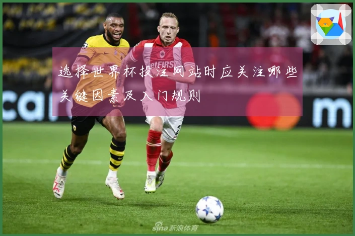 选择世界杯投注网站时应关注哪些关键因素及入门规则