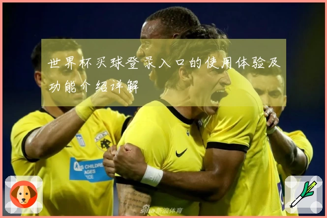 世界杯买球登录入口的使用体验及功能介绍详解