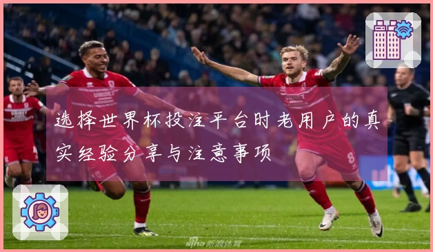 选择世界杯投注平台时老用户的真实经验分享与注意事项