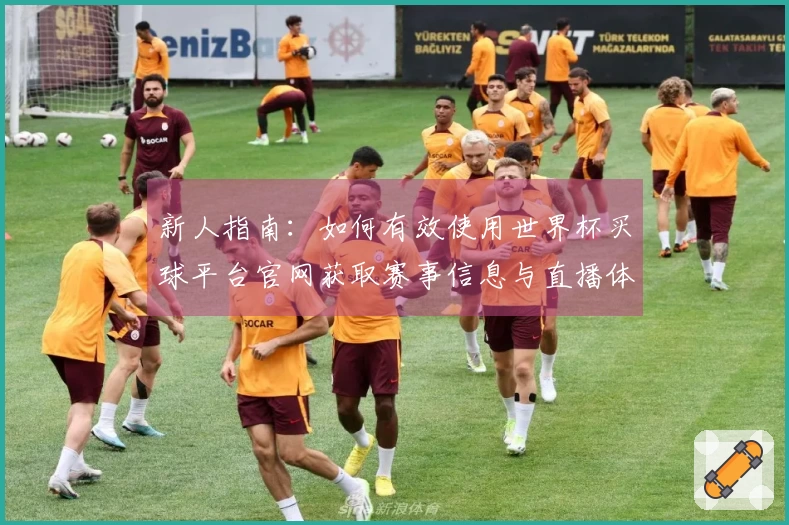 新人指南：如何有效使用世界杯买球平台官网获取赛事信息与直播体验