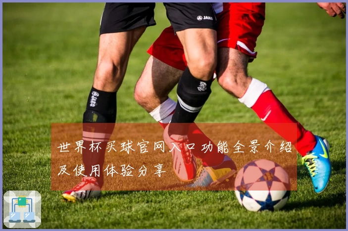 世界杯买球官网入口功能全景介绍及使用体验分享