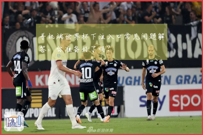 手机端世界杯下注入口常见问题解答，你准备好了吗？