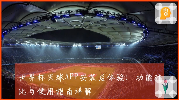 世界杯买球APP安装后体验：功能对比与使用指南详解