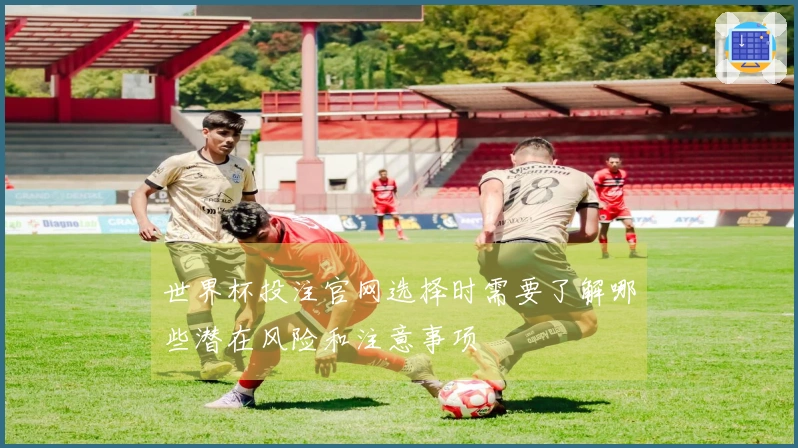 世界杯投注官网选择时需要了解哪些潜在风险和注意事项