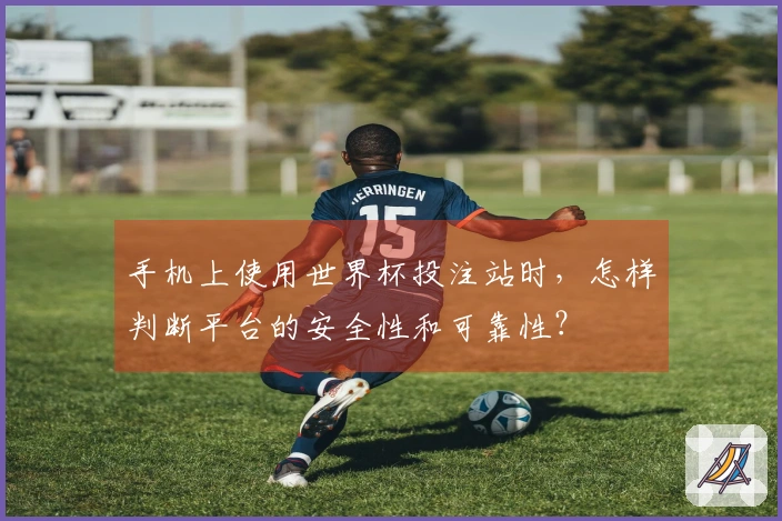 手机上使用世界杯投注站时,怎样判断平台的安全性和可靠性?