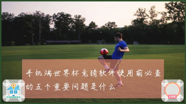手机端世界杯竞猜软件使用前必查的五个重要问题是什么