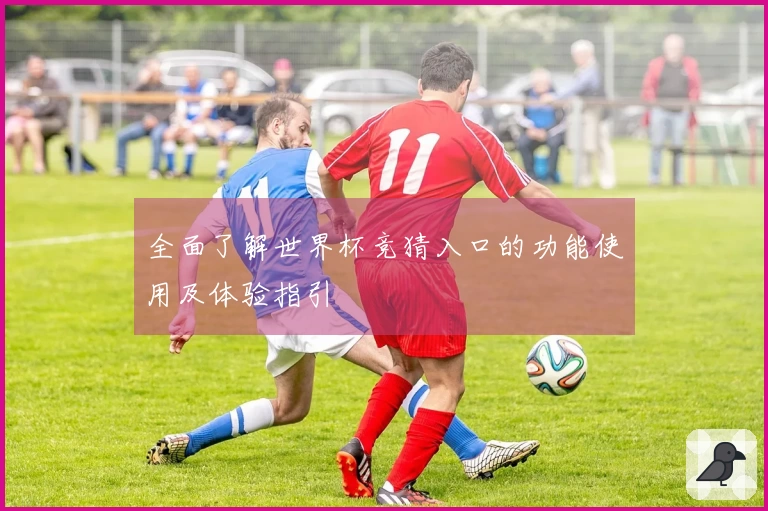 全面了解世界杯竞猜入口的功能使用及体验指引